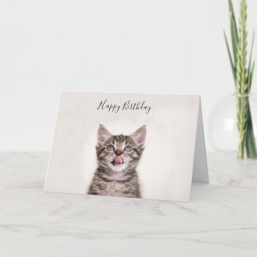 かわいい虎猫の子猫の誕生日カード カード (正面)
