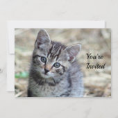 かわいい虎猫キッテン写真誕生日 招待状 (正面)