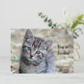かわいい虎猫キッテン写真誕生日 招待状 (スタンド正面)