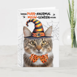 かわいい虎猫ハロウィーンキャットパーノーマルMEOWolween シーズンカード