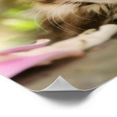 かわいい虎猫メーヌクーンキャットキットフワフワ頭の写真 ポスター (角)