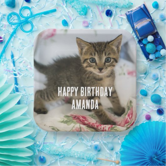 かわいい虎猫子猫が驚く誕生日 ペーパープレート (パーティー)