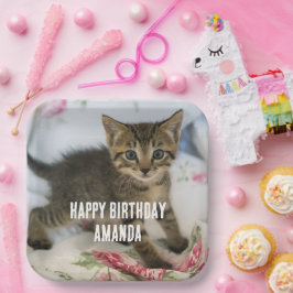 かわいい虎猫子猫が驚く誕生日 ペーパープレート
