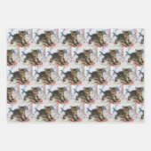 かわいい虎猫子猫ちゃんビックリパターン（の模様が）ある ラッピングペーパーシート (正面)