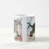 かわいい虎猫子猫ちゃんビックリ コーヒーマグカップ (中央)