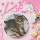 かわいい虎猫子猫ちゃんビックリ ペーパープレート (パーティー)