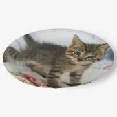 かわいい虎猫子猫ちゃんビックリ ペーパープレート (アングル)