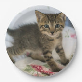 かわいい虎猫子猫ちゃんビックリ ペーパープレート (正面)