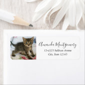 かわいい虎猫子猫ちゃんビックリ ラベル (インサイチュ)