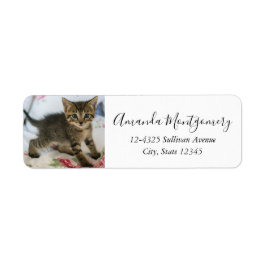 かわいい虎猫子猫ちゃんビックリ ラベル