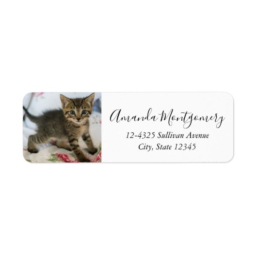 かわいい虎猫子猫ちゃんビックリ ラベル (正面)