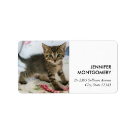 かわいい虎猫子猫ちゃんビックリ ラベル