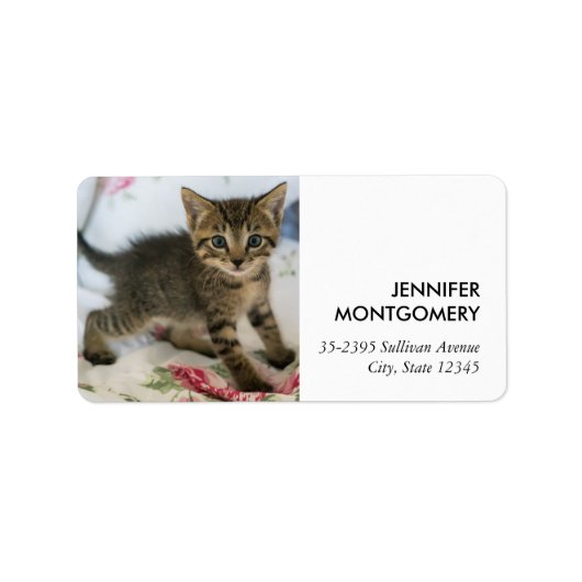 かわいい虎猫子猫ちゃんビックリ ラベル (正面)