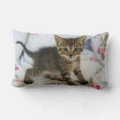 かわいい虎猫子猫ちゃんビックリ ランバークッション (裏面)