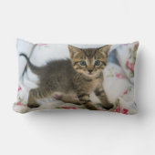 かわいい虎猫子猫ちゃんビックリ ランバークッション (正面)