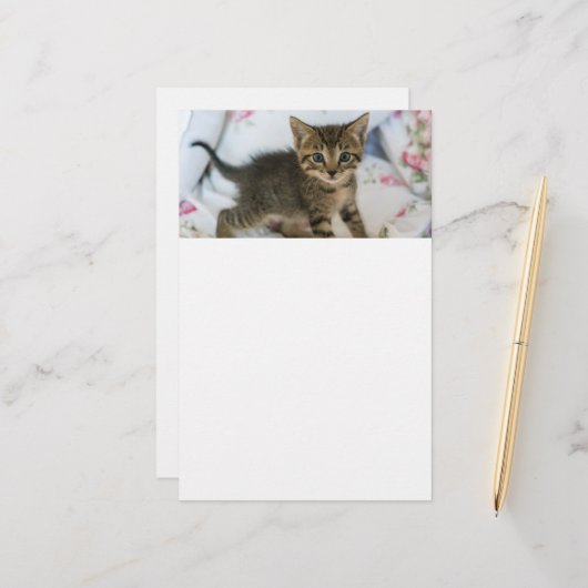 かわいい虎猫子猫ちゃんビックリ 便箋 (正面/裏面インサイチュ)