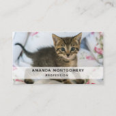 かわいい虎猫子猫ちゃんビックリ 名刺 (正面)
