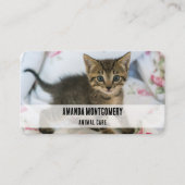 かわいい虎猫子猫ちゃんビックリ 名刺 (正面)