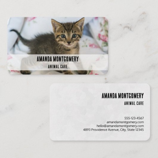 かわいい虎猫子猫ちゃんビックリ 名刺 (正面/裏面)