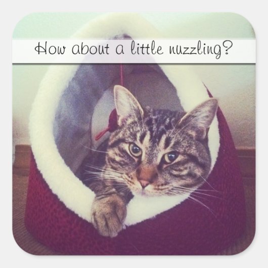 かわいい虎猫子猫インハット写真テンプレート スクエアシール (正面)