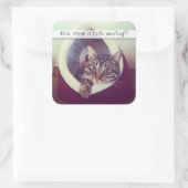 かわいい虎猫子猫インハット写真テンプレート スクエアシール (バッグ)