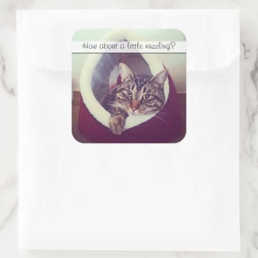 かわいい虎猫子猫インハット写真テンプレート スクエアシール (バッグ)