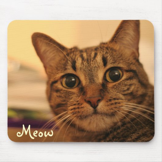 かわいい虎猫猫の顔のmousepad マウスパッド (正面)