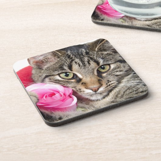 かわいい虎猫猫はとの上がりました コースター (左側)