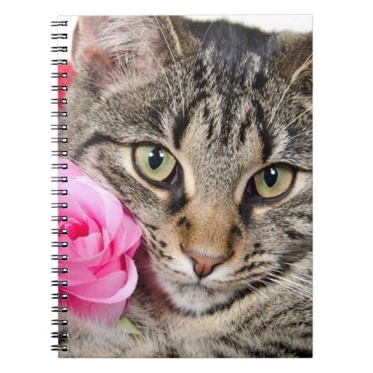 かわいい虎猫猫はとの上がりました ノートブック (正面)