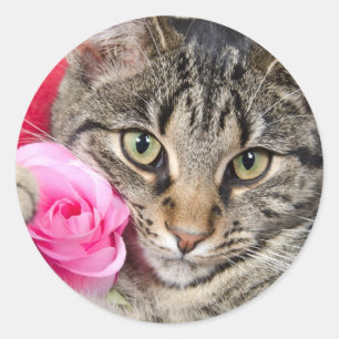 かわいい虎猫猫はとの上がりました ラウンドシール