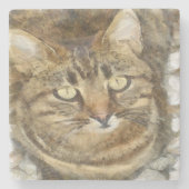 かわいい虎猫見上げる鉛筆のスケッチ ストーンコースター (正面)