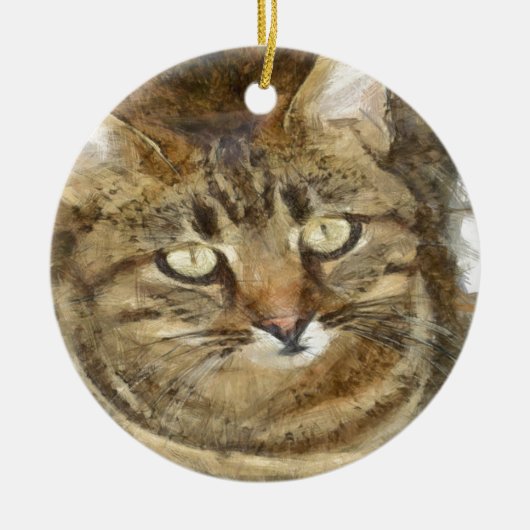 かわいい虎猫見上げる鉛筆のスケッチ セラミックオーナメント (正面)