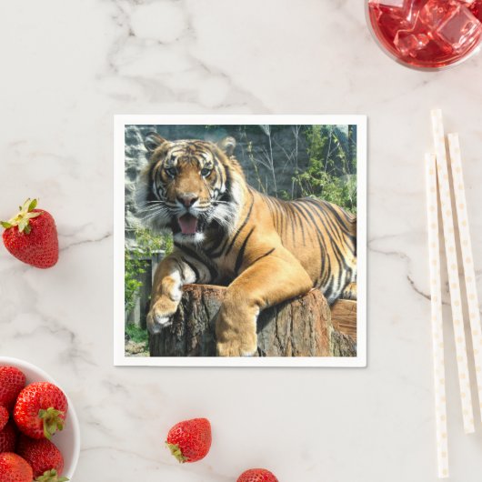 かわいい虎 スタンダードカクテルナプキン (インサイチュ)