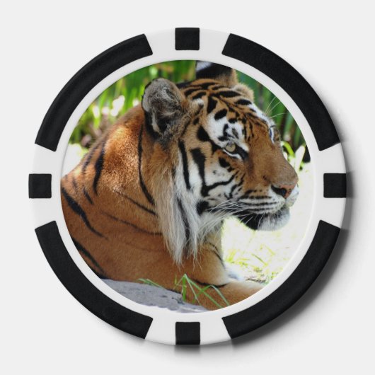 かわいい虎 ポーカーチップ (正面)