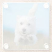 かわいい西の高地テリアの子犬のランニング ガラスコースター (裏面)