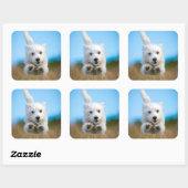 かわいい西ハイランドテリアパピーランニングズ スクエアシール (シート)