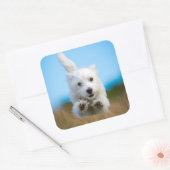 かわいい西ハイランドテリアパピーランニングズ スクエアシール (封筒)