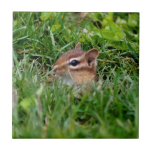 かわいい覗きチプムンク動物 タイル