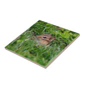 かわいい覗きチプムンク動物 タイル (側面)