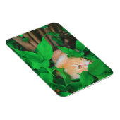 かわいい覗き猫フォトプリント マグネット (右側)