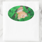 かわいい覗き猫フォトプリント 楕円形シール (バッグ)