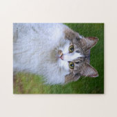 かわいい訪れる長毛の三毛猫|過去記事 ジグソーパズル (横)