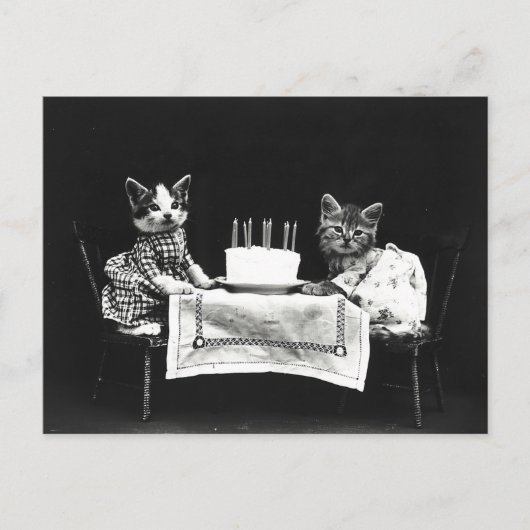 かわいい誕生日のケーキの猫たち ポストカード (正面)