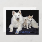かわいい誕生日メッセージ 犬 ポストカード (正面/裏面)