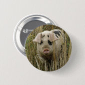 かわいい豚ボタン 缶バッジ (正面&裏面)