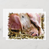 かわいい豚招待状 (正面/裏面)