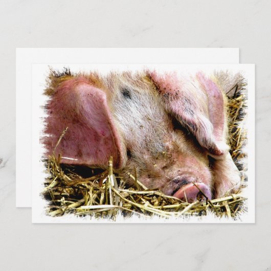 かわいい豚招待状 (正面/裏面)