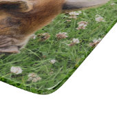 かわいい豚 カッティングボード (角)