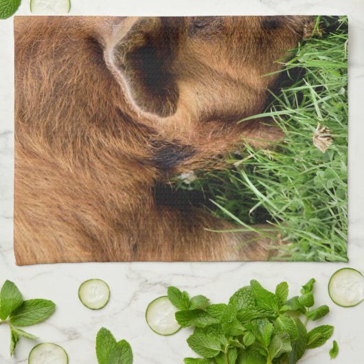 かわいい豚 キッチンタオル (折り畳み)