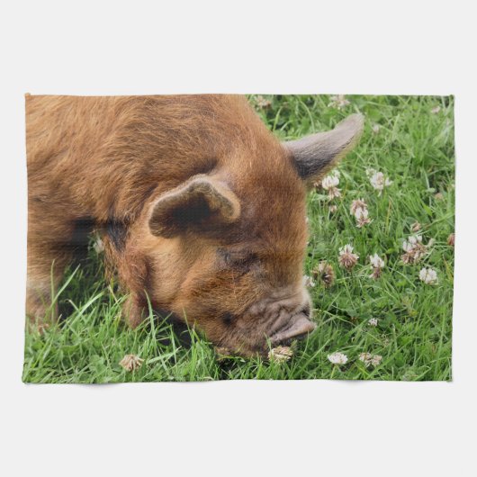 かわいい豚 キッチンタオル (横)